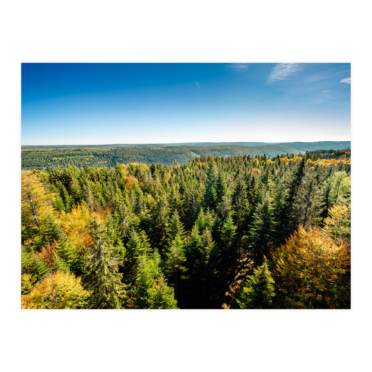 Black In Color (Print Only)