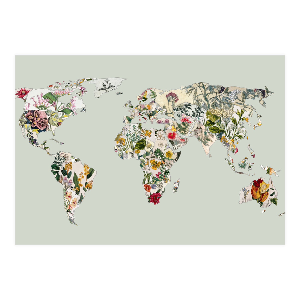 Vintage Botanical Map - Green (Print Only)