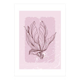 Magnolia Botanical Mid Century - Abstract Geometrical (Print Only) thumbnail