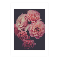 Dreamy Roses (Print Only)
