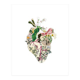 Vintage Botanical Heart (Print Only) thumbnail