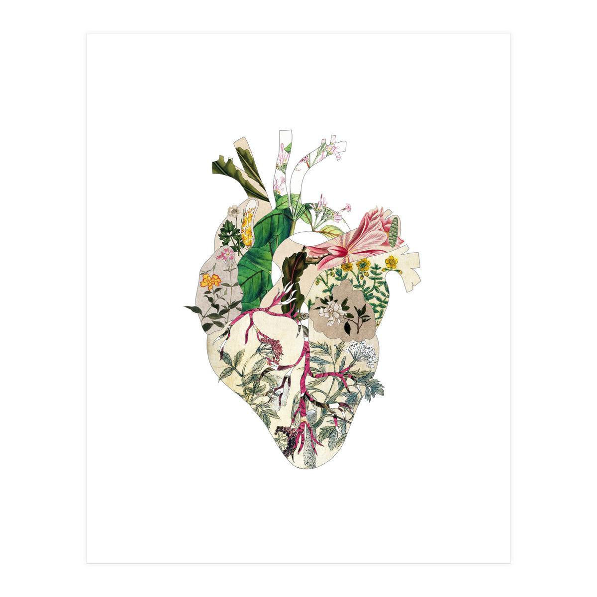 Vintage Botanical Heart (Print Only)