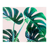 Wild Leaves (Print Only)