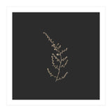 Delicate Golden Fynbos Botanicals on Black - Square (Print Only) thumbnail