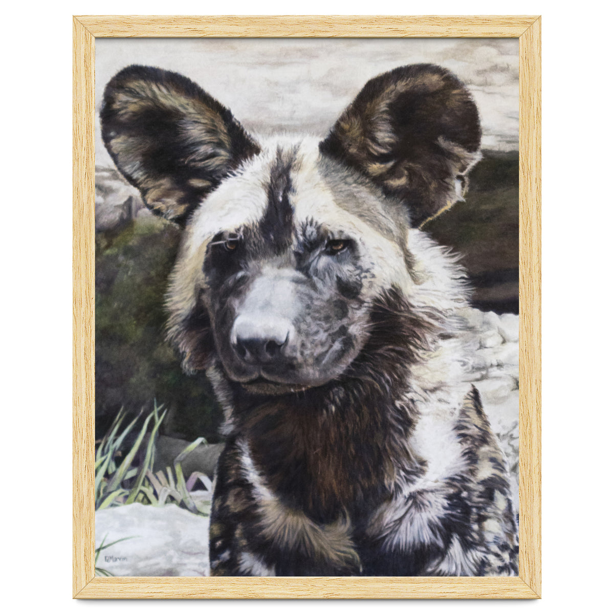 African Painted Dog II