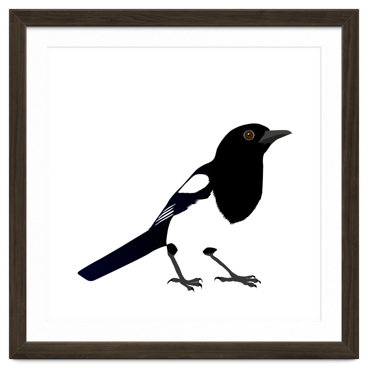Magpie