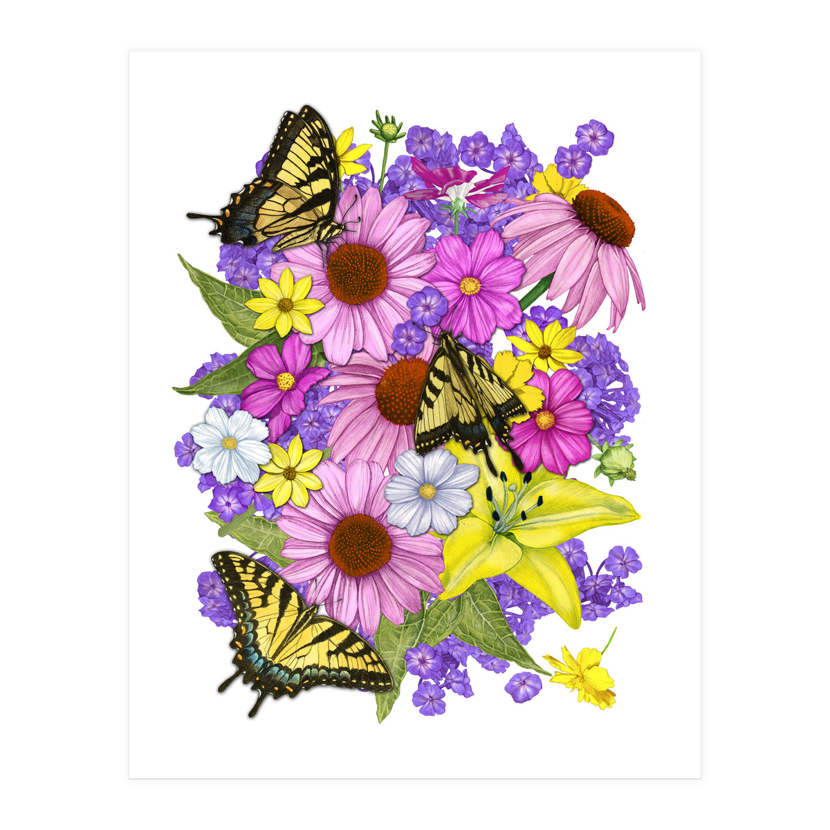 Corn Flowers and Swallowtails (Print Only)