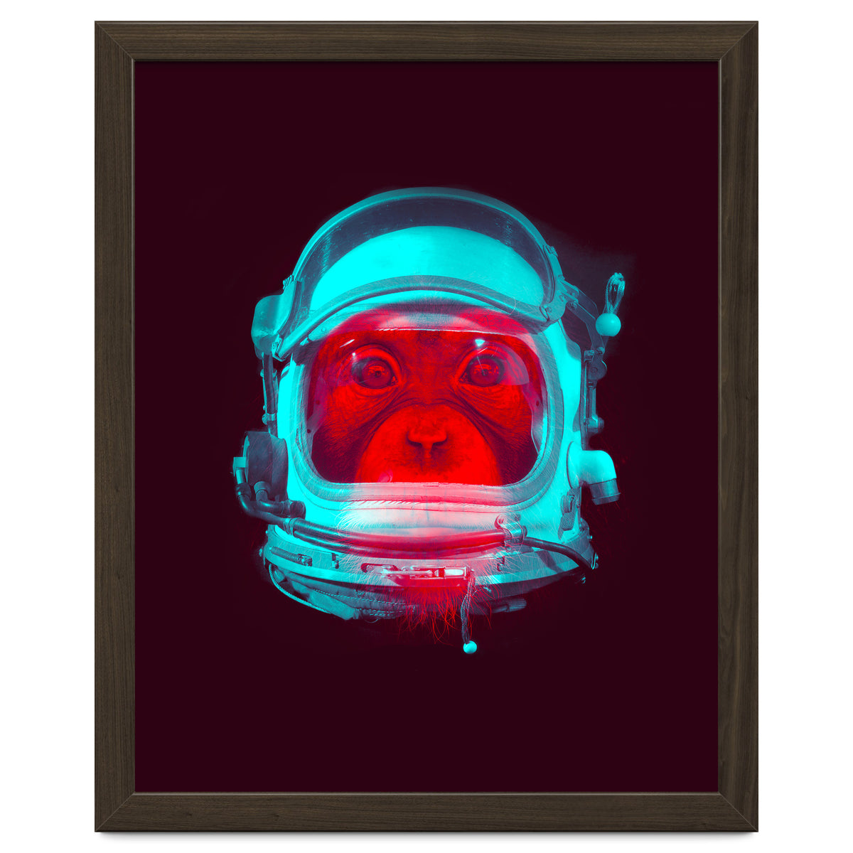 Astronaut