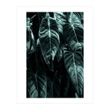 The Jungle (Print Only) thumbnail