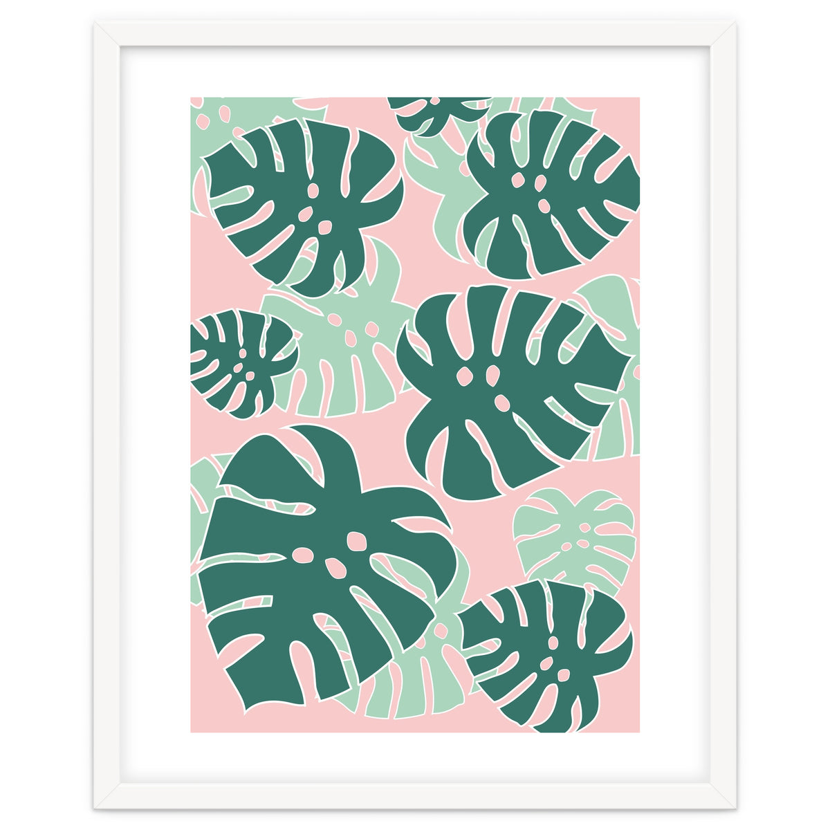 Monstera Tropical