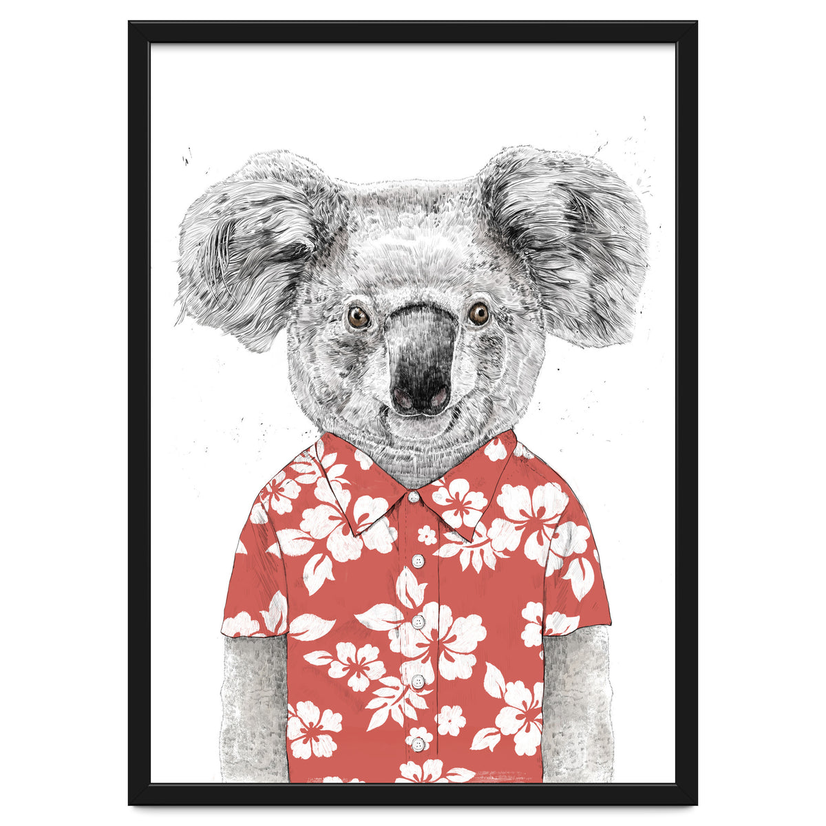 Summer Koala