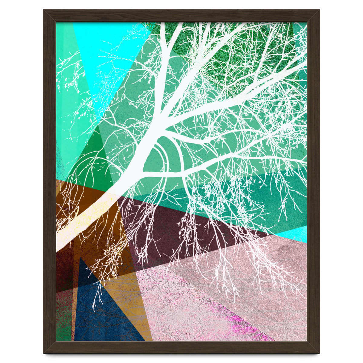 P16-H Trees And Triangles