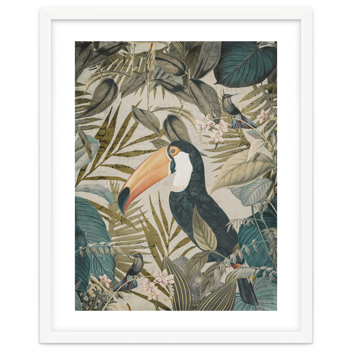 Jungle Toucan