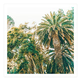 Newport (Print Only) thumbnail