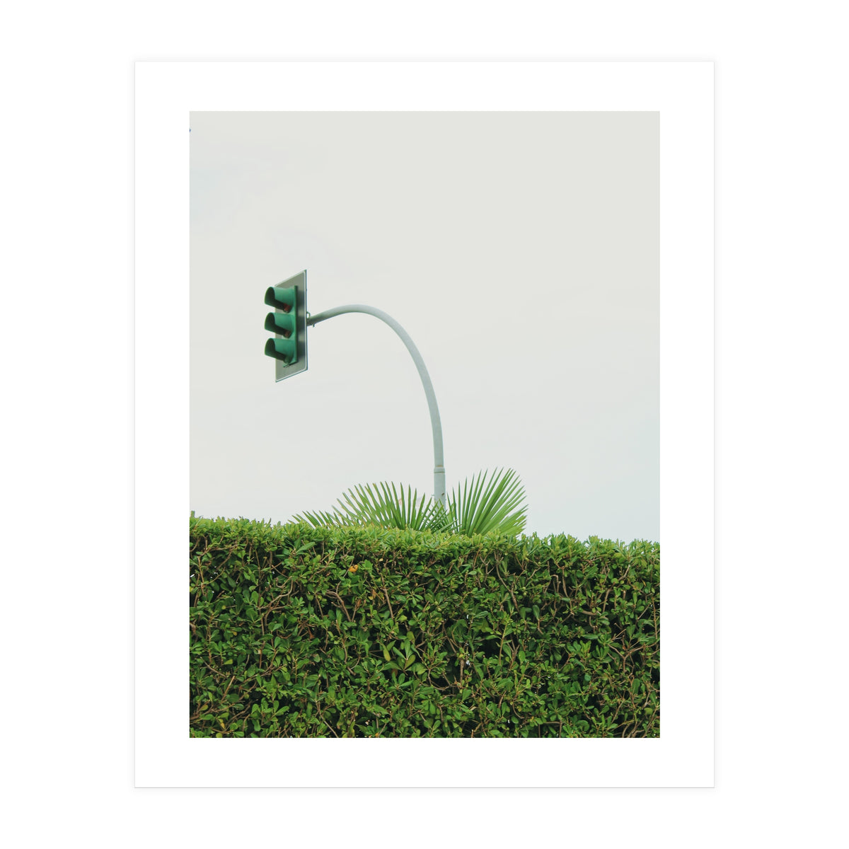 Urban Plant (Print Only)
