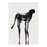 Cheetah  (Print Only) thumbnail