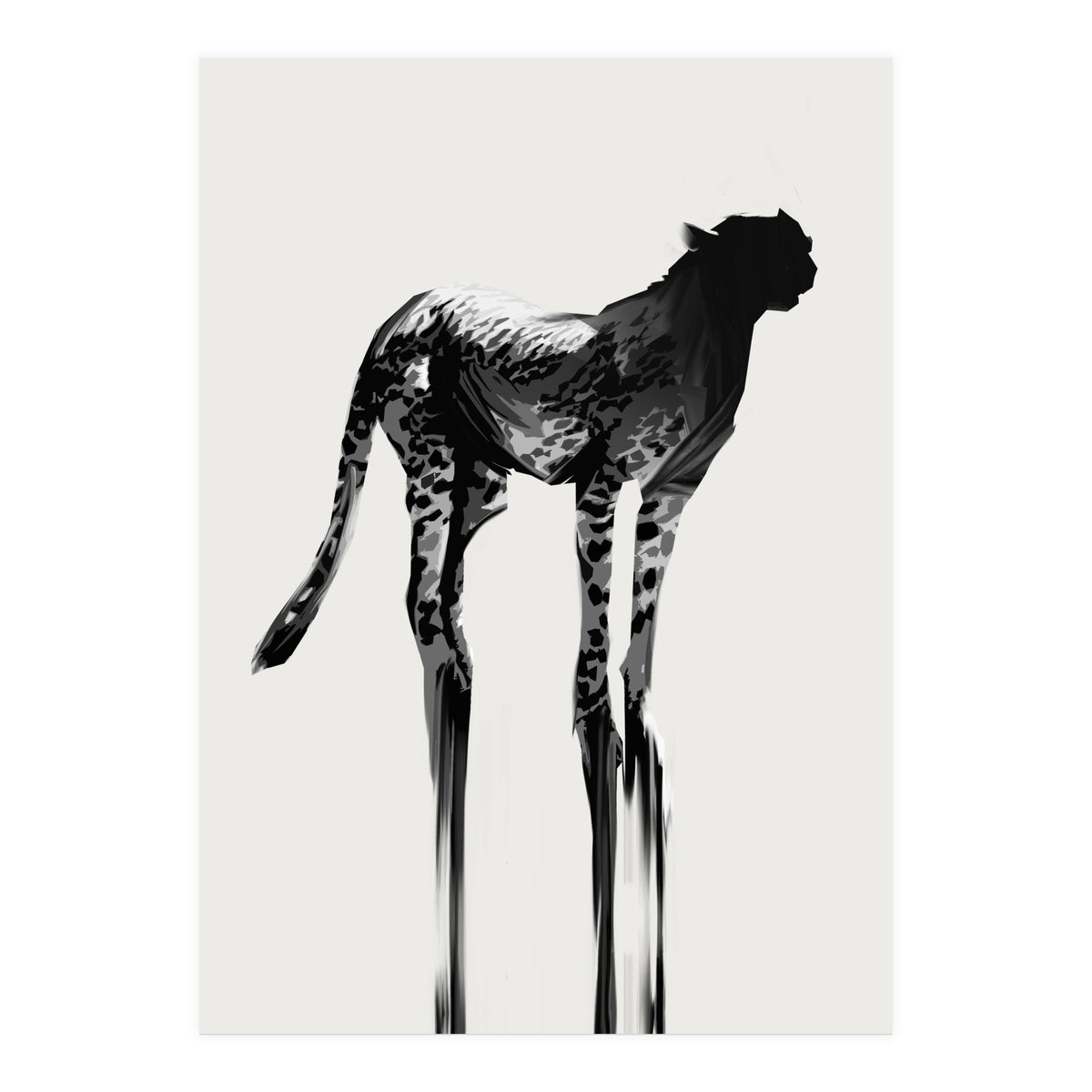 Cheetah  (Print Only)