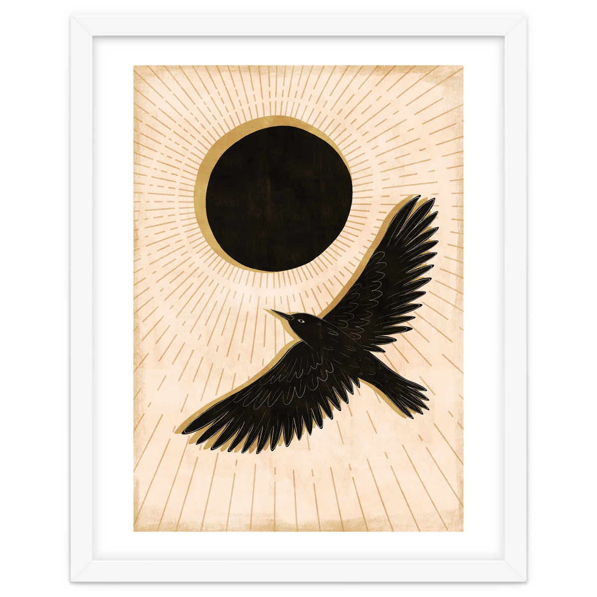 Raven And A Black Sun