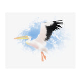 Pelican (Print Only) thumbnail