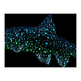 Barbel Fish (Print Only) thumbnail