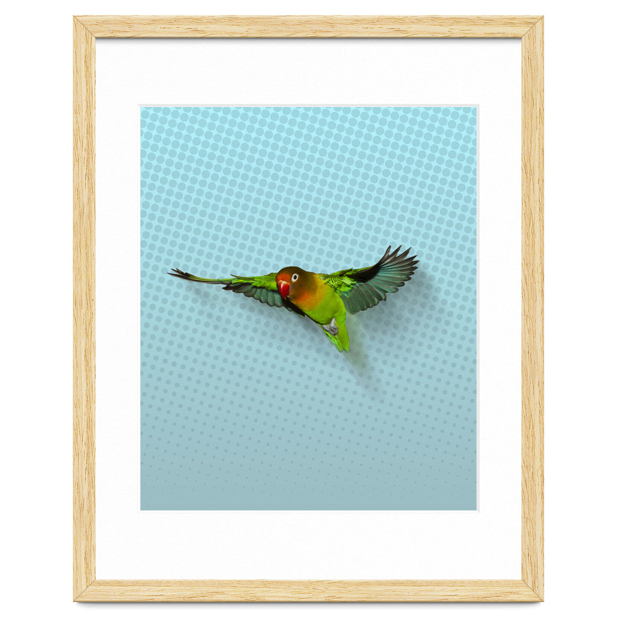 Flying lovebird