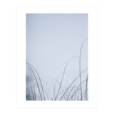 Forgotten Memories of Summer #20 (Print Only) thumbnail