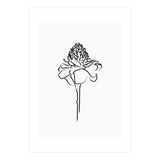 Black Flower (Print Only) thumbnail