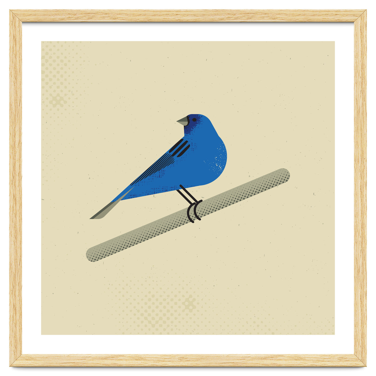 Indigo Bunting