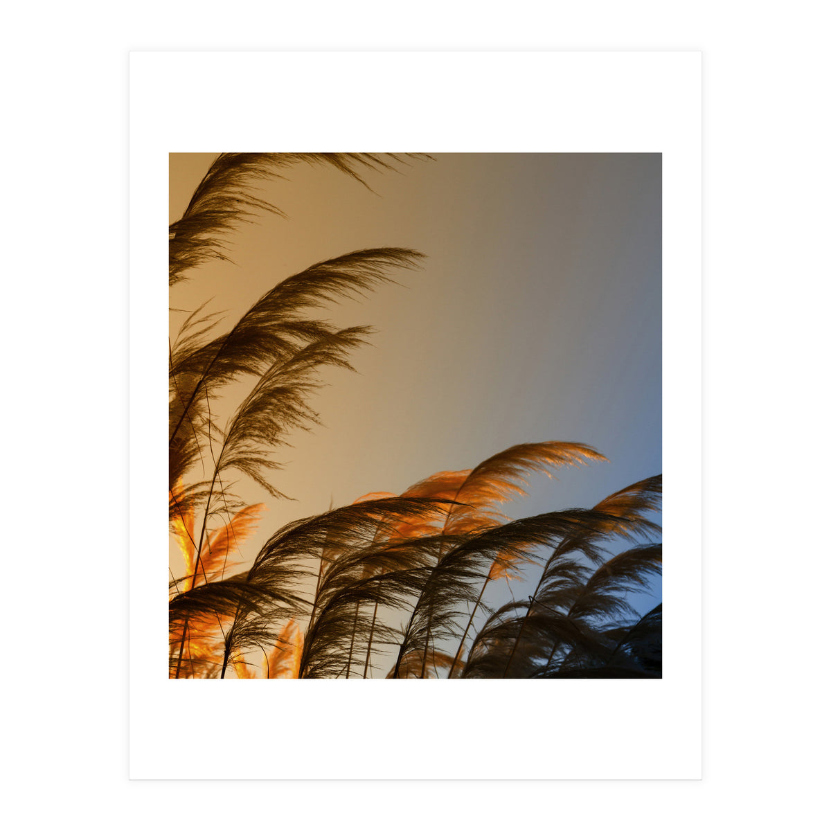 Sunset in autumn (Print Only)