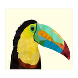 Toucan Bird Low Poly Art (Print Only) thumbnail