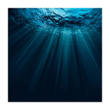 Nature (Print Only) thumbnail