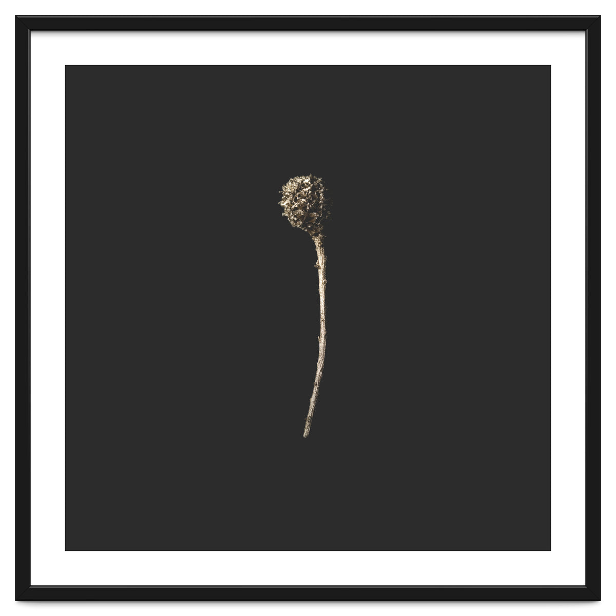 Simple Golden Botanical - Square