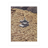 Traffic Jam (Print Only) thumbnail
