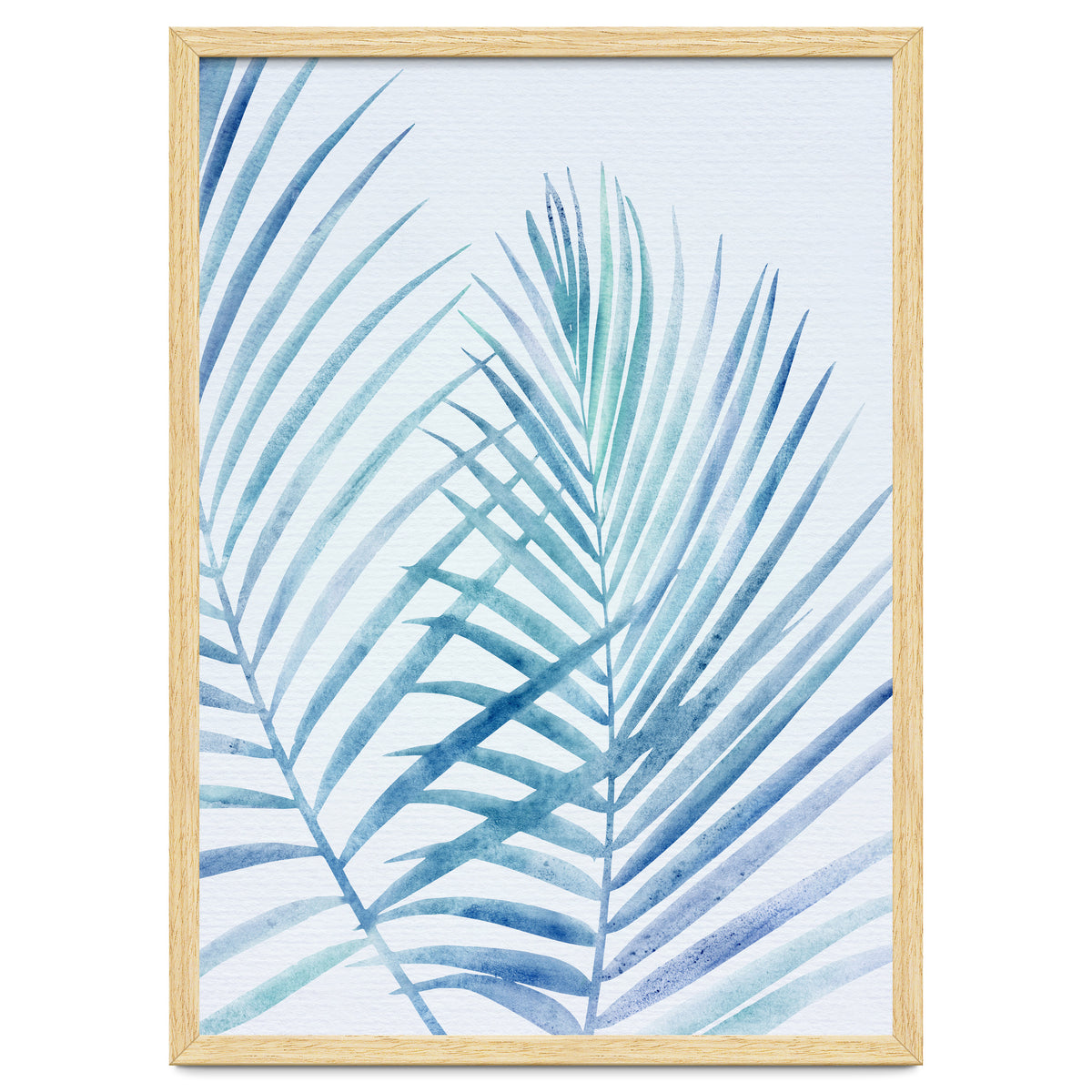 Coastal Palm Fronds