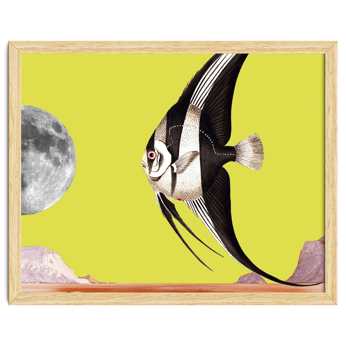 Plenty of fish in the sea yellow