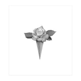Rosecream (Print Only) thumbnail