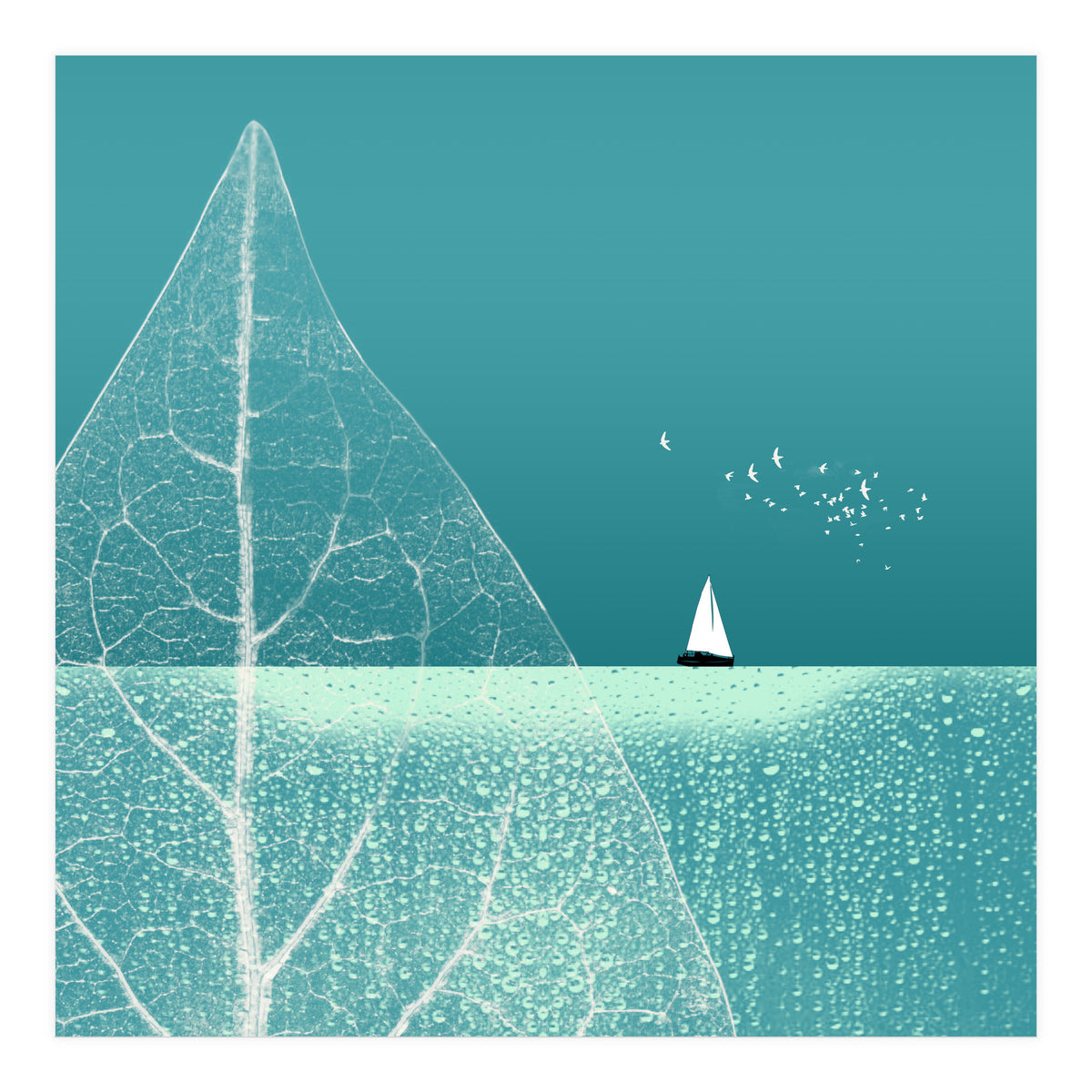 Ocean Wonderland Ii-B  (Print Only)