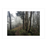 Mt. Davidson II (Print Only) thumbnail