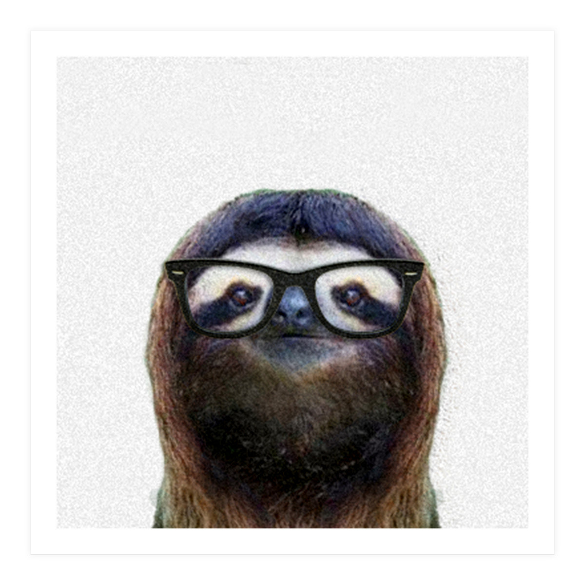 Geek Sloth (Print Only)