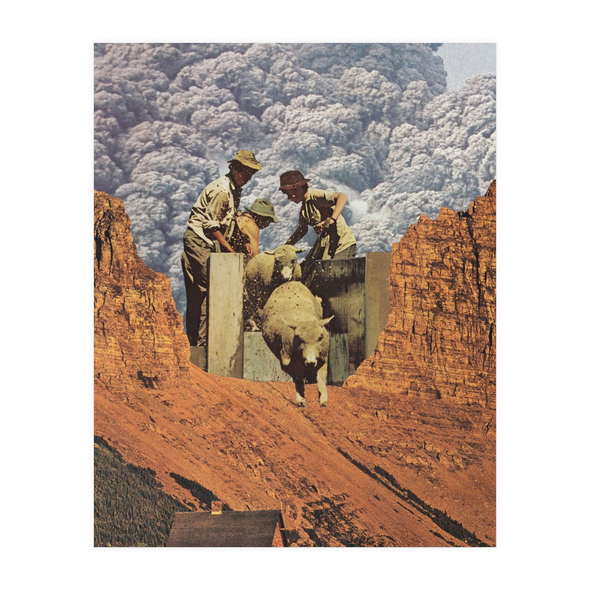 Dirty Sheep (Print Only)