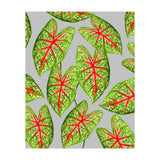 Expression Of Peace (Print Only) thumbnail