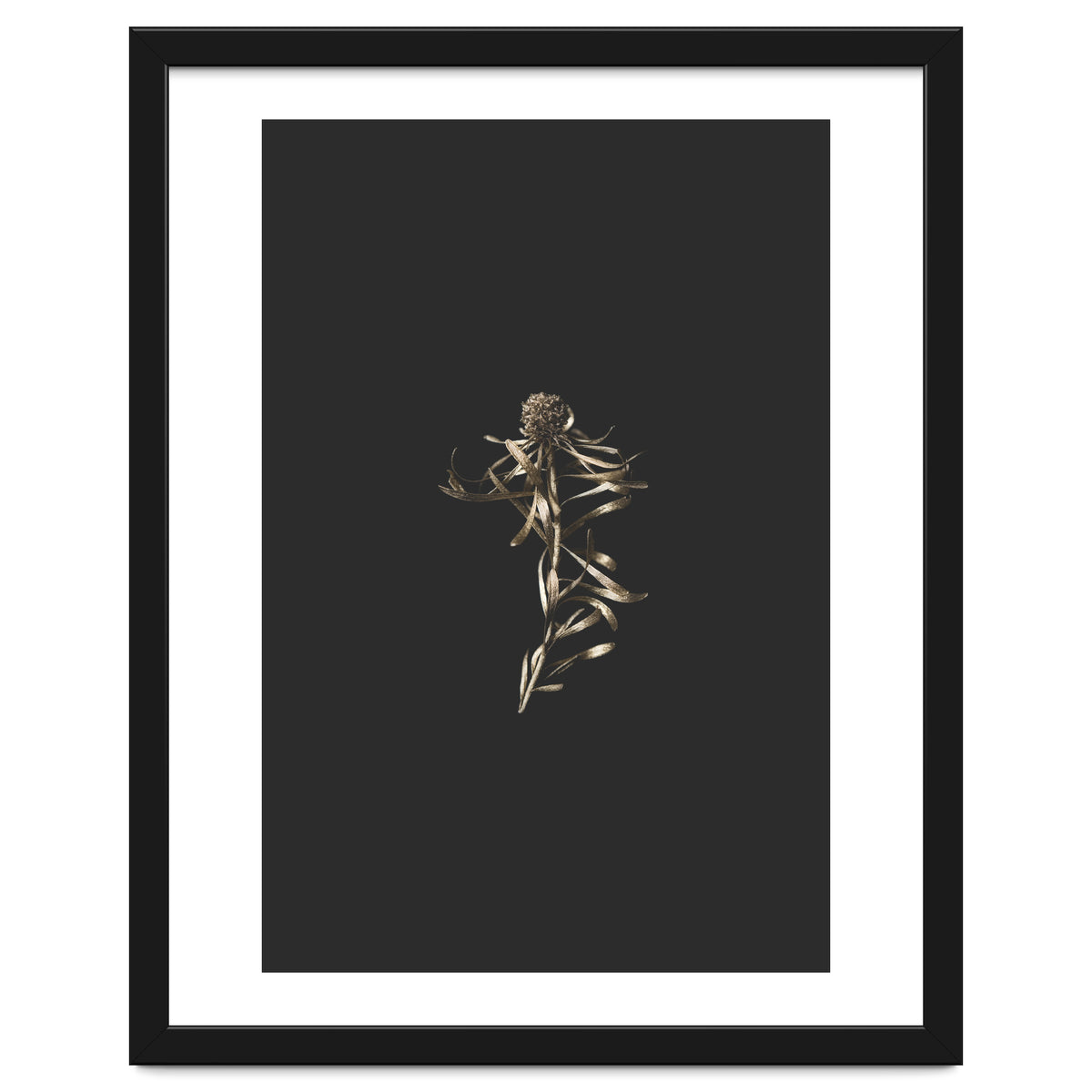 Magical Golden Fynbos