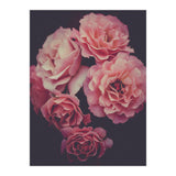 Dreamy Roses (Print Only) thumbnail