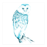 Barn Owl in Teal (Print Only) thumbnail