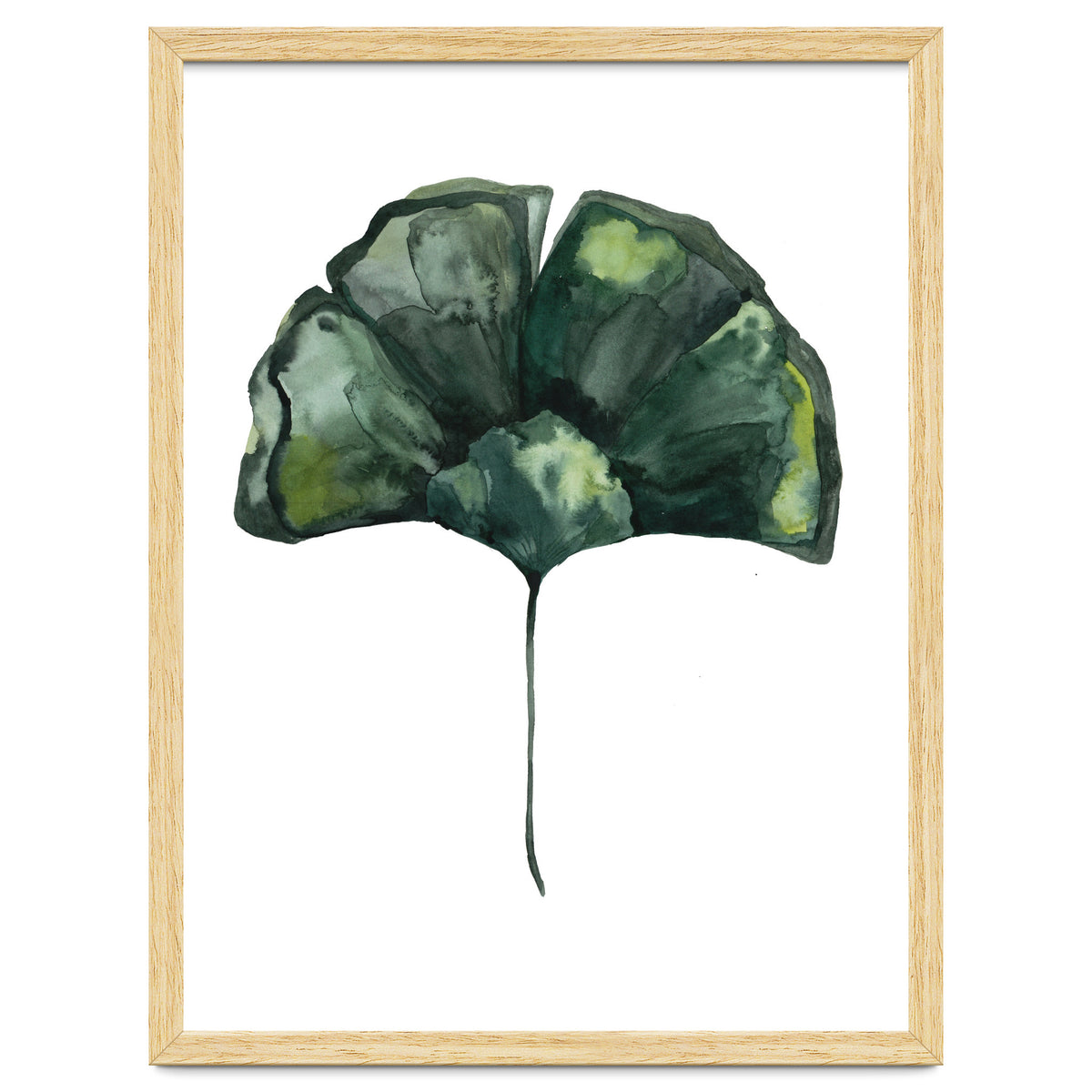 Botanical Illustration Ginko