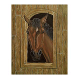 Inquisitive (Print Only) thumbnail