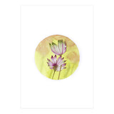 Circular Astrantia  (Print Only) thumbnail