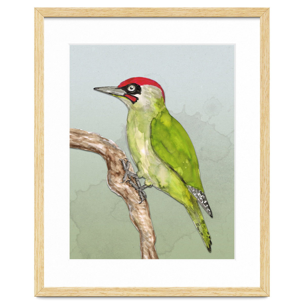 Green woodpecker