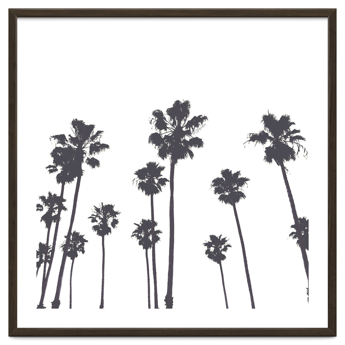 Palms & Sunset-Minimal B&W