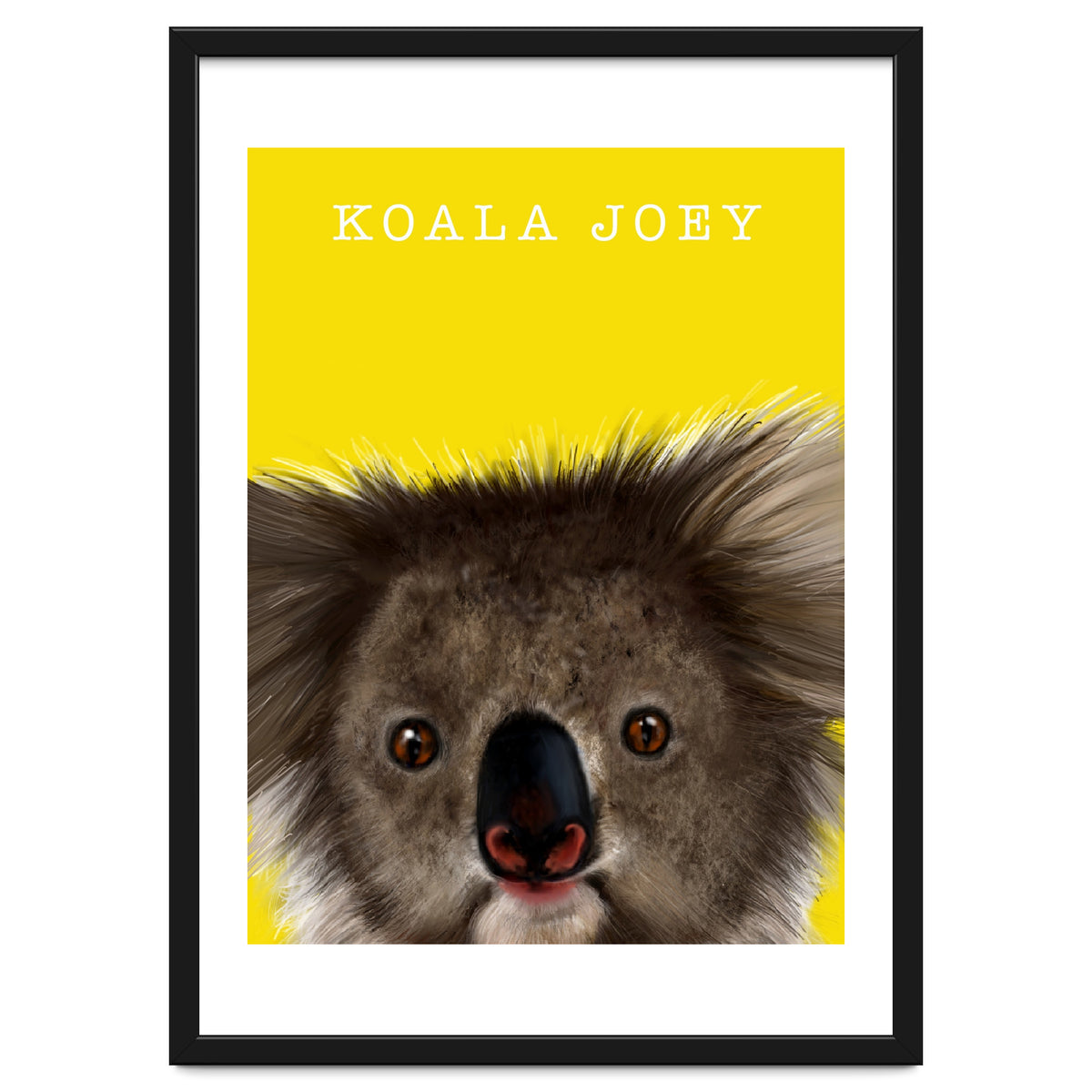 Koala Joey